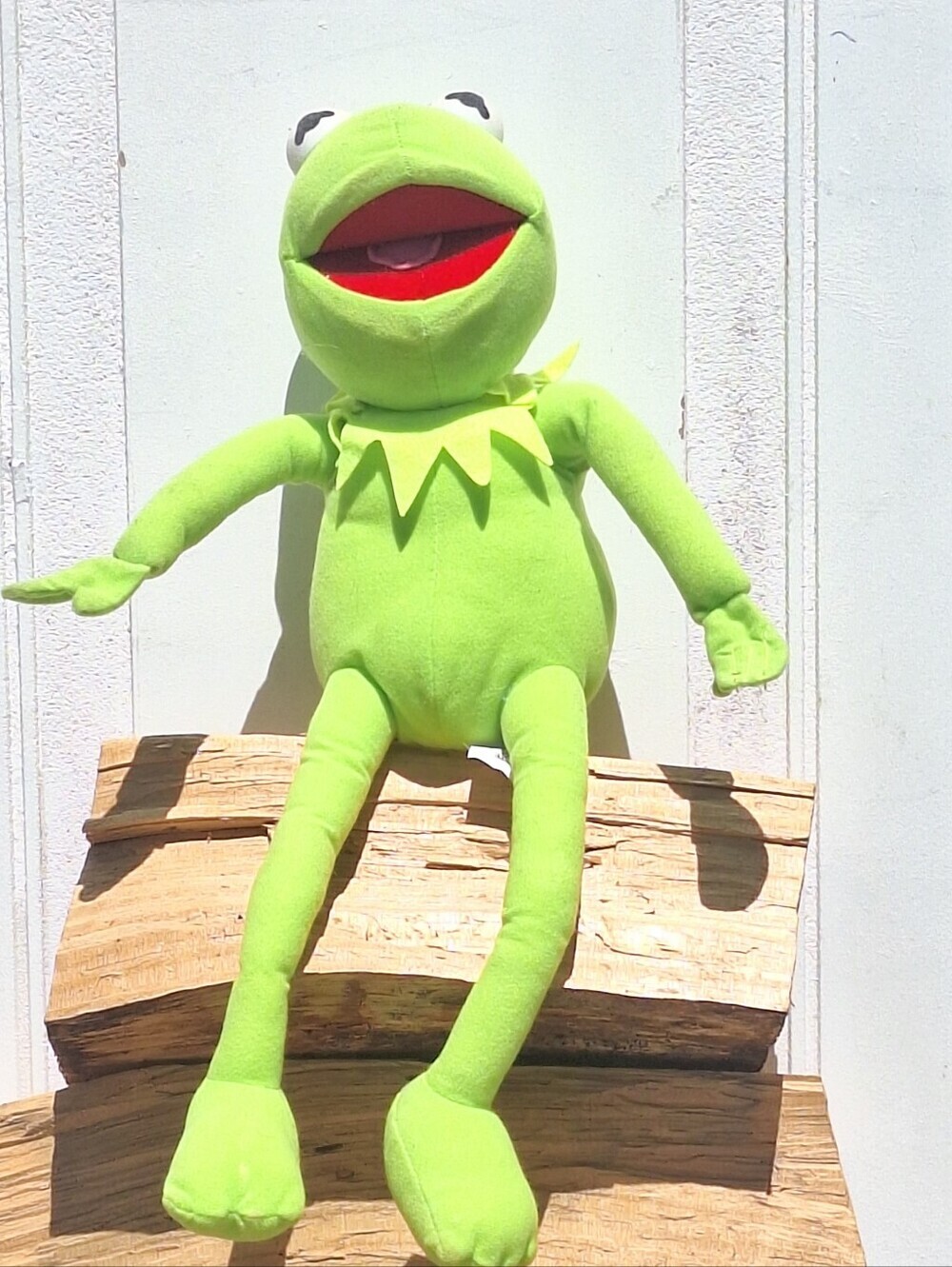 Official Disney Store Kermit the Frog Plush 2007